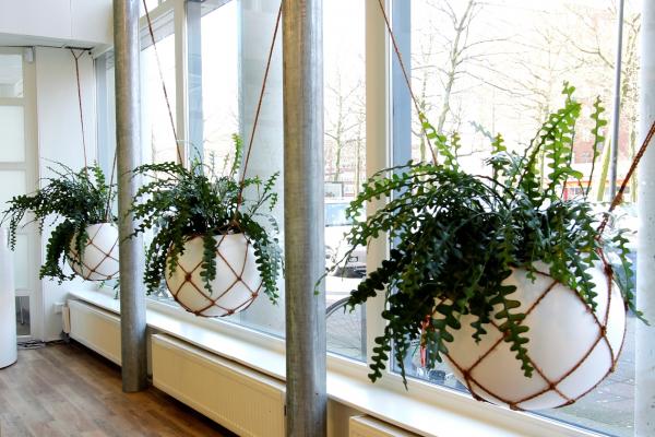 Fishing-net plant baskets